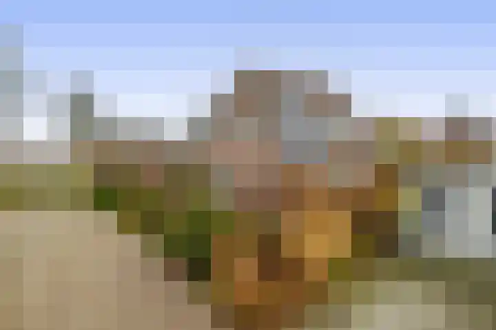 Lepelaarstraat 23 't Zand thumbnail 5