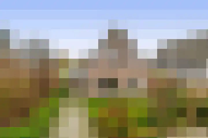 Lepelaarstraat 23 't Zand thumbnail 6