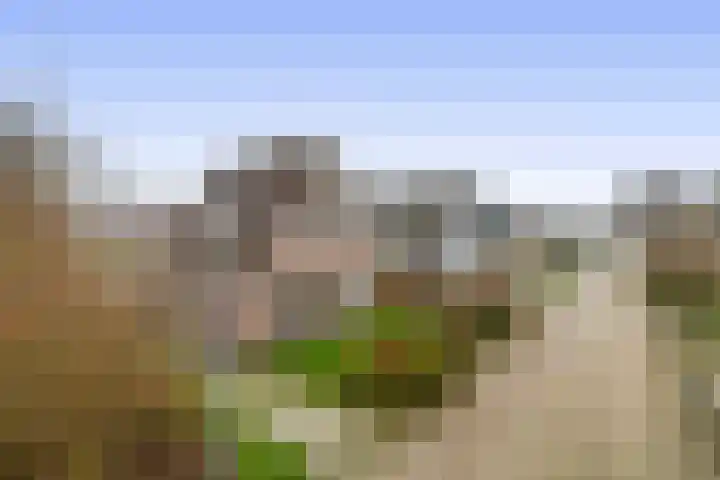 Lepelaarstraat 23 't Zand thumbnail 7