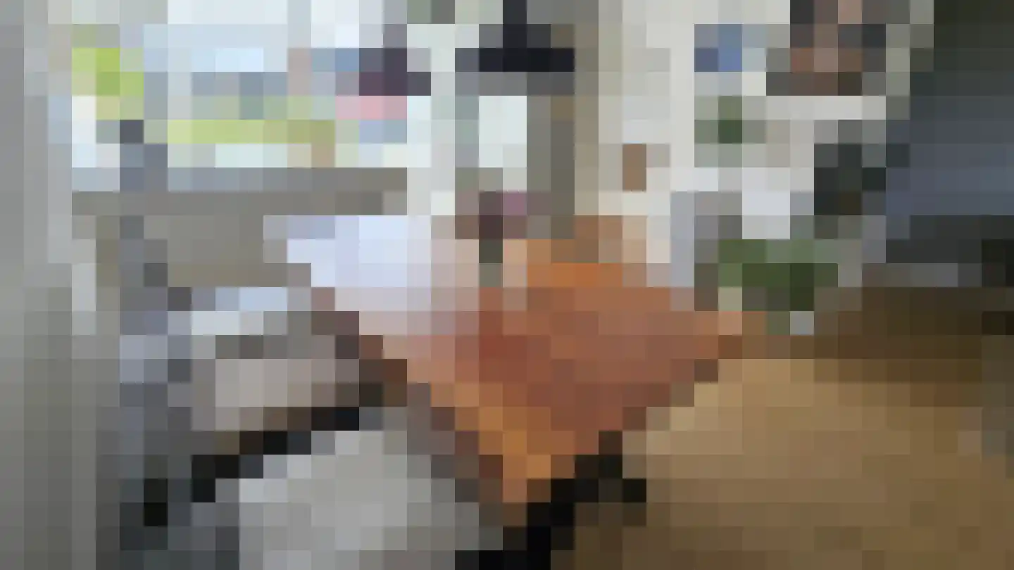 Lepelaarstraat 28 Westzaan thumbnail 14