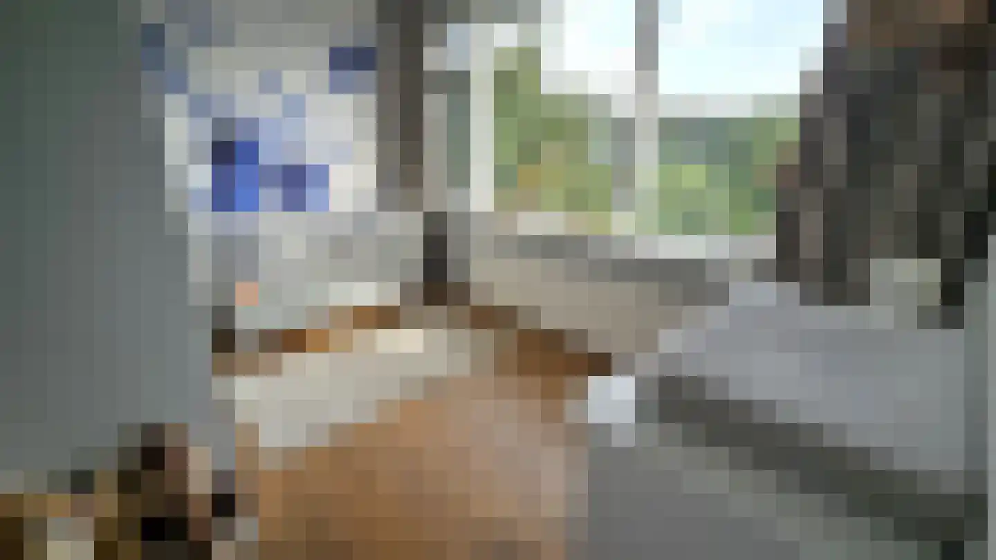 Lepelaarstraat 28 Westzaan thumbnail 30