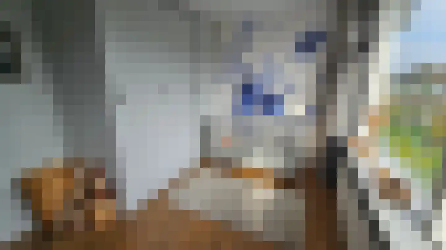 Lepelaarstraat 28 Westzaan thumbnail 31
