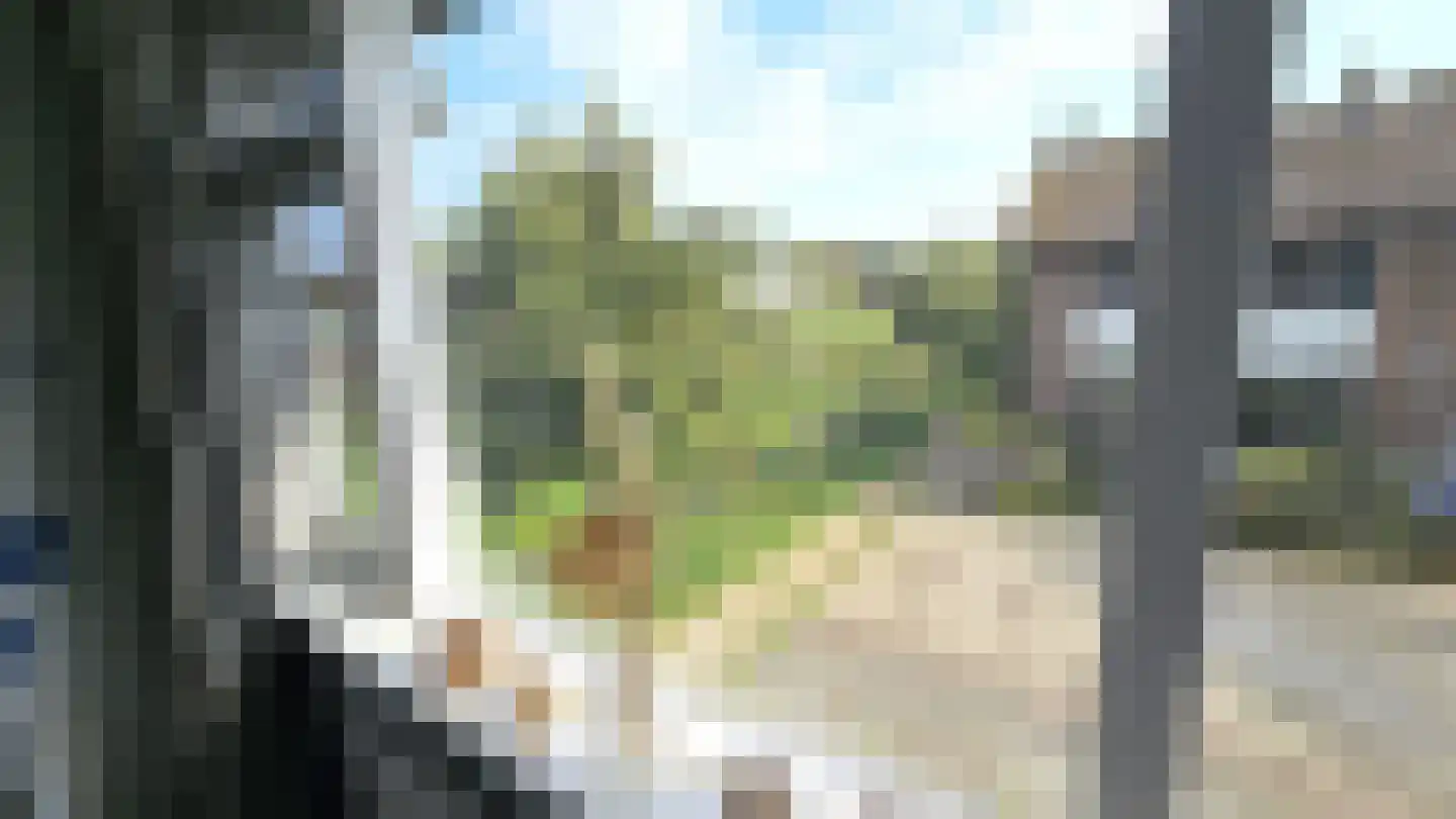 Lepelaarstraat 28 Westzaan thumbnail 32