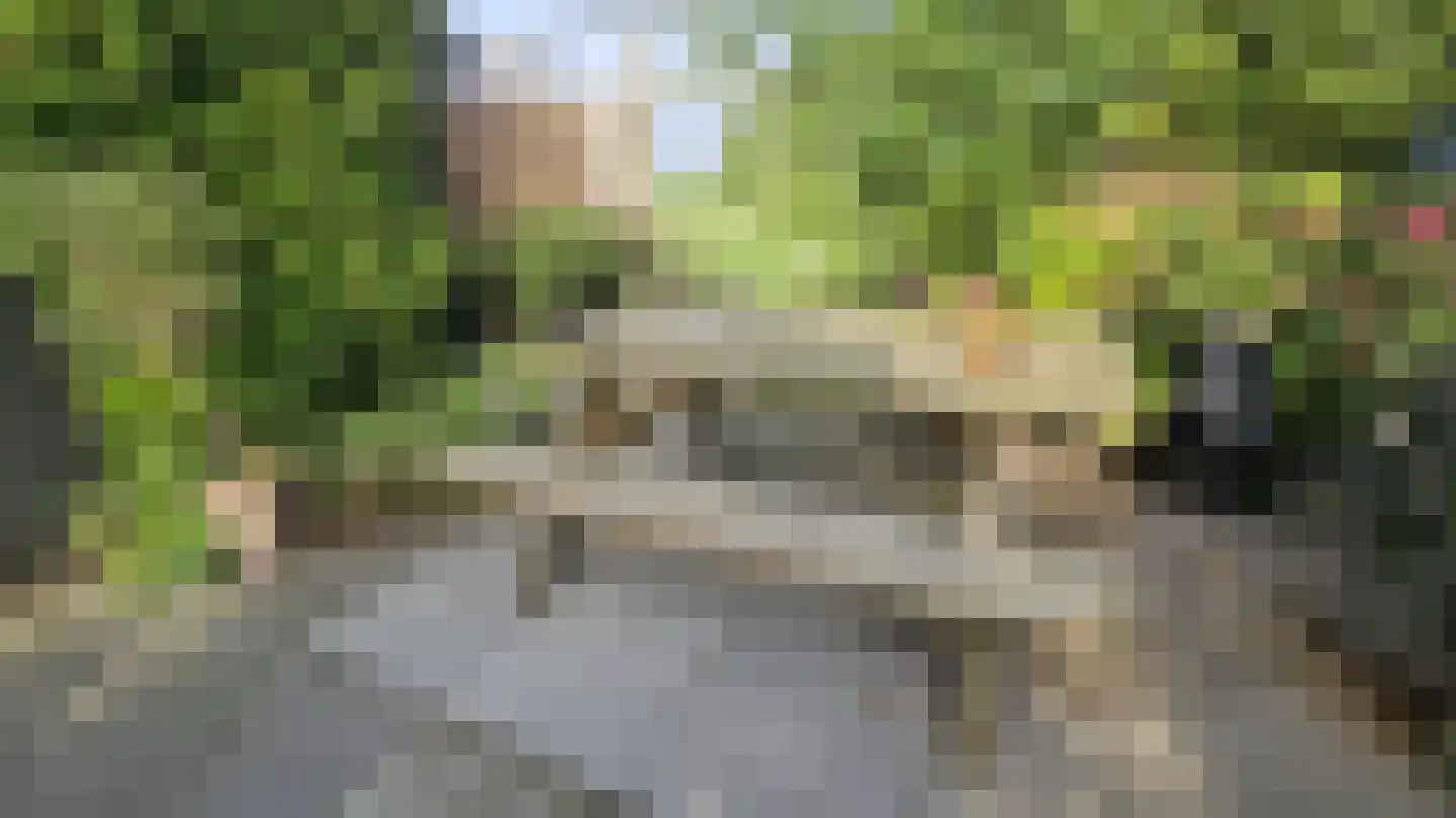 Lepelaarstraat 28 Westzaan thumbnail 46