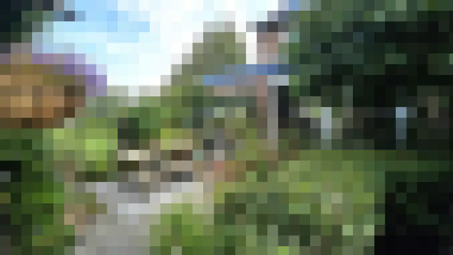 Lepelaarstraat 28 Westzaan thumbnail 47