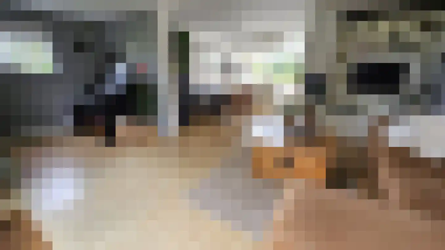 Lepelaarstraat 28 Westzaan thumbnail 7