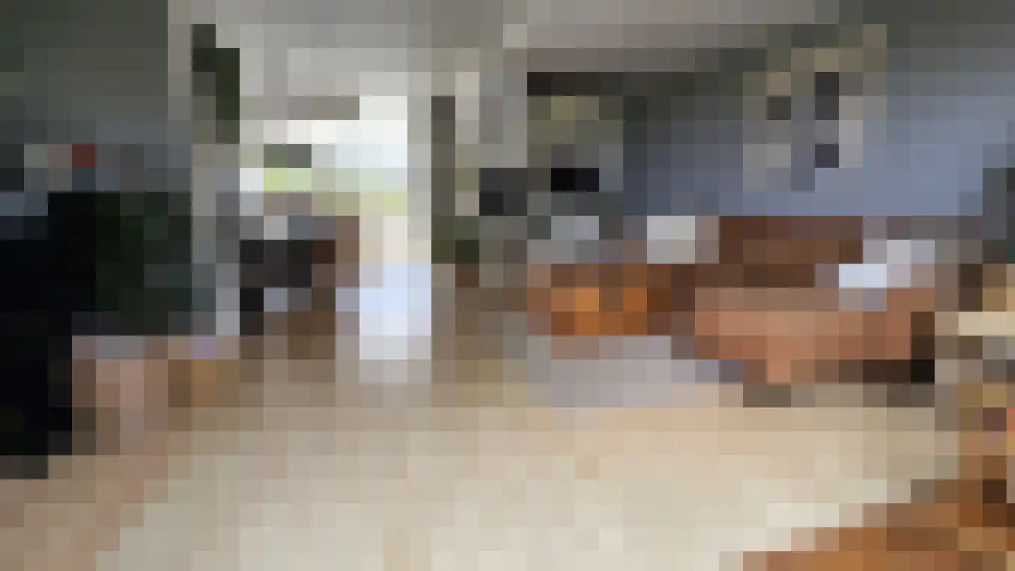 Lepelaarstraat 28 Westzaan thumbnail 8