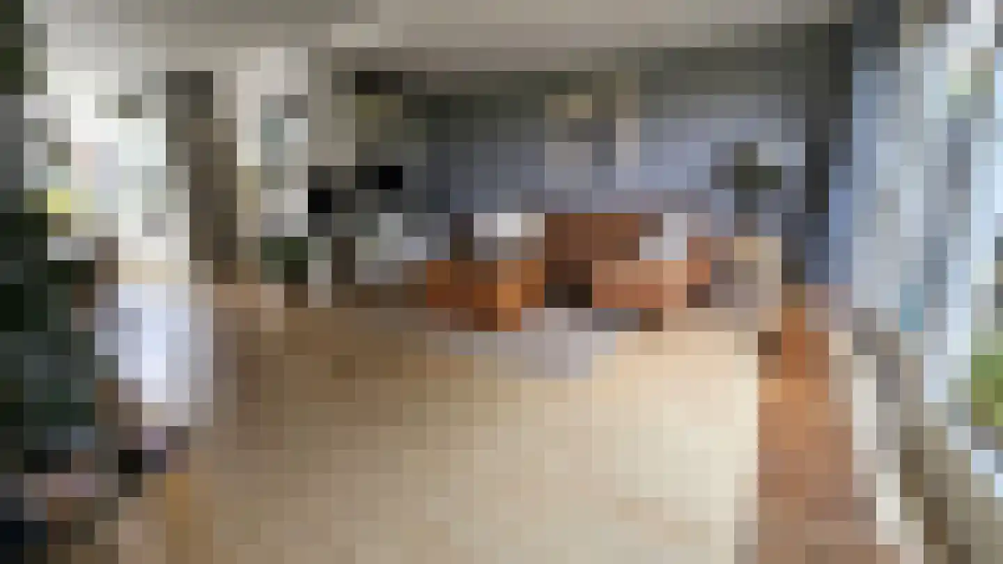 Lepelaarstraat 28 Westzaan thumbnail 9