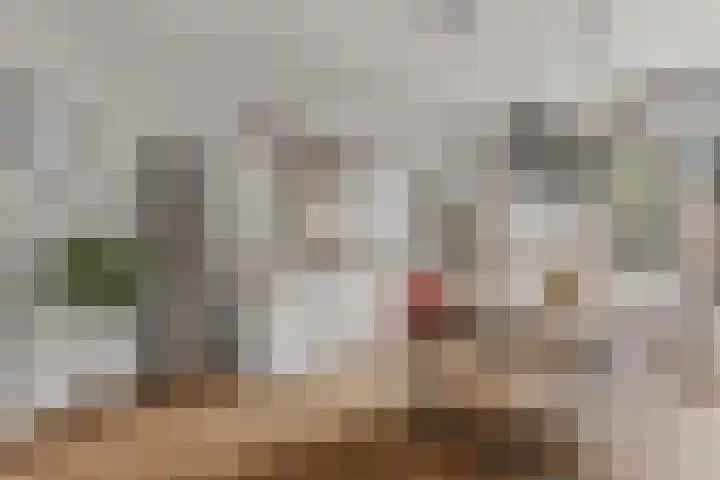 Lepelaarstraat 3 Utrecht thumbnail 11