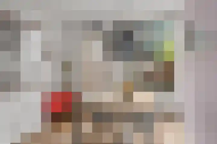 Lepelaarstraat 3 Utrecht thumbnail 13