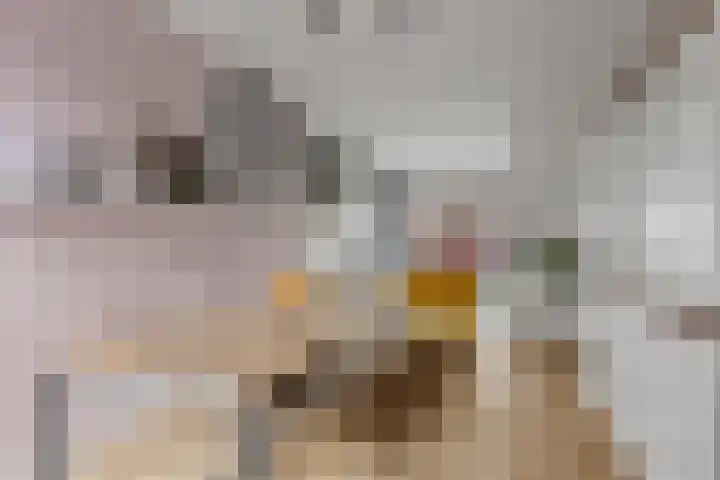 Lepelaarstraat 3 Utrecht thumbnail 7