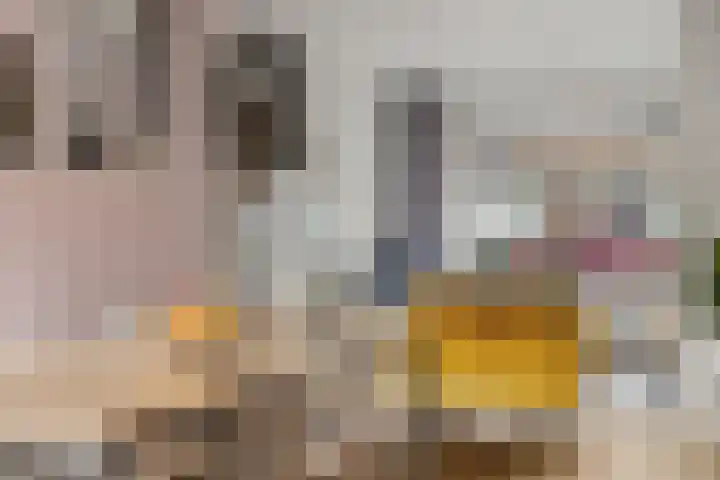 Lepelaarstraat 3 Utrecht thumbnail 9