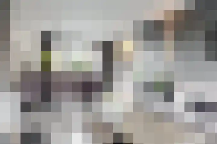 Lepelaarstraat 30 Maurik thumbnail 11