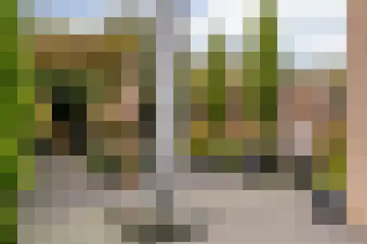 Lepelaarstraat 30 Maurik thumbnail 31