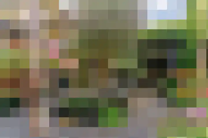 Lepelaarstraat 30 Maurik thumbnail 35