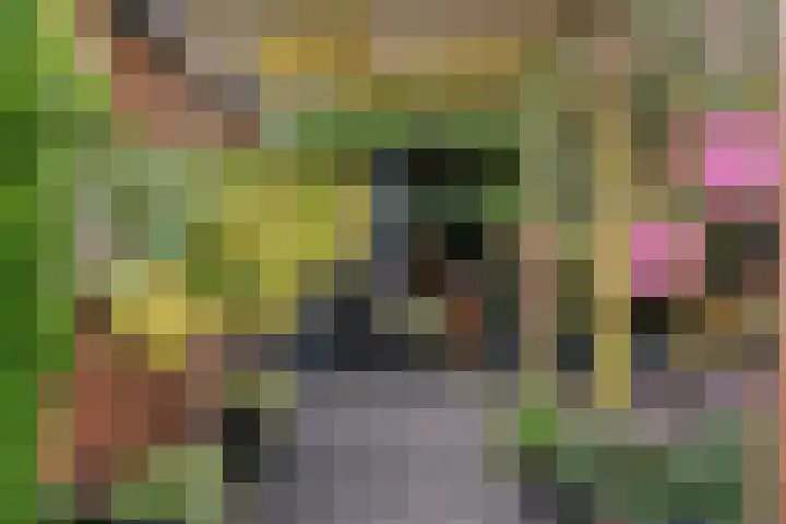 Lepelaarstraat 30 Maurik thumbnail 36