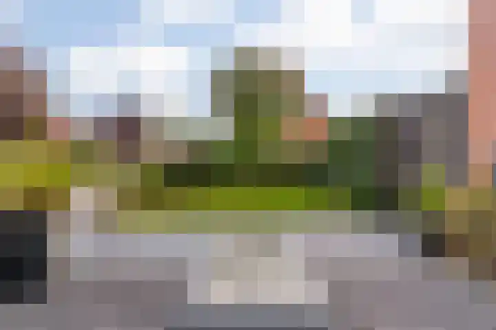 Lepelaarstraat 30 Maurik thumbnail 4