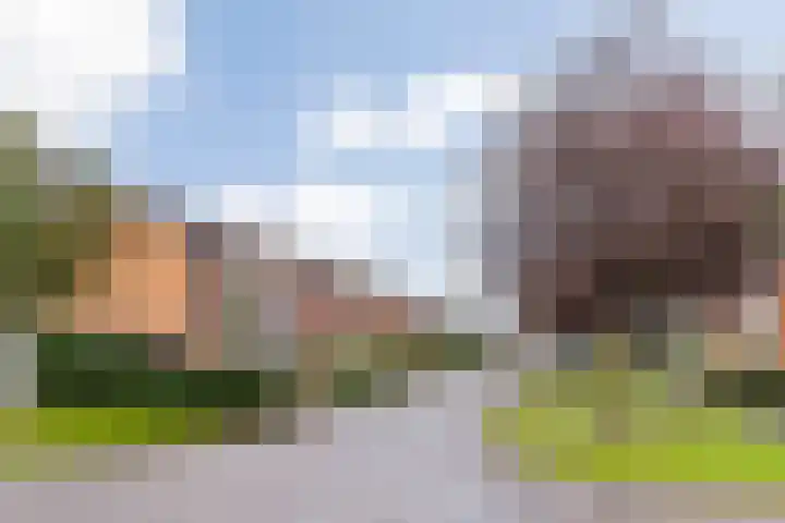 Lepelaarstraat 30 Maurik thumbnail 46