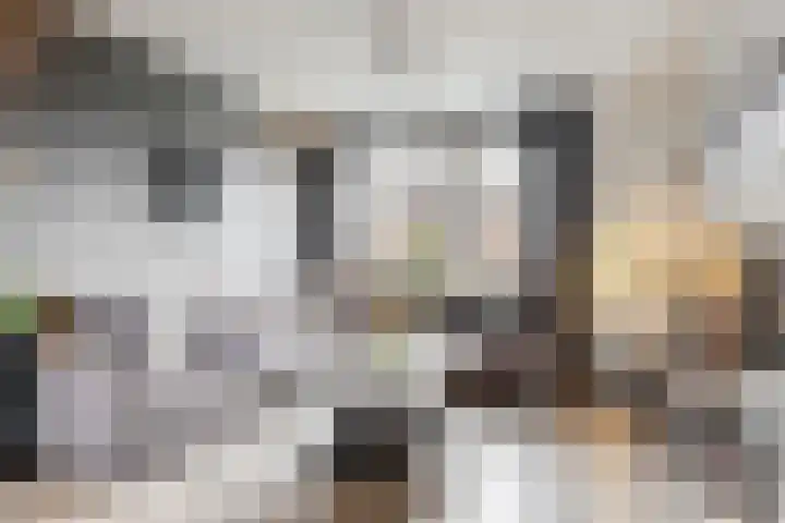 Lepelaarstraat 30 Maurik thumbnail 9