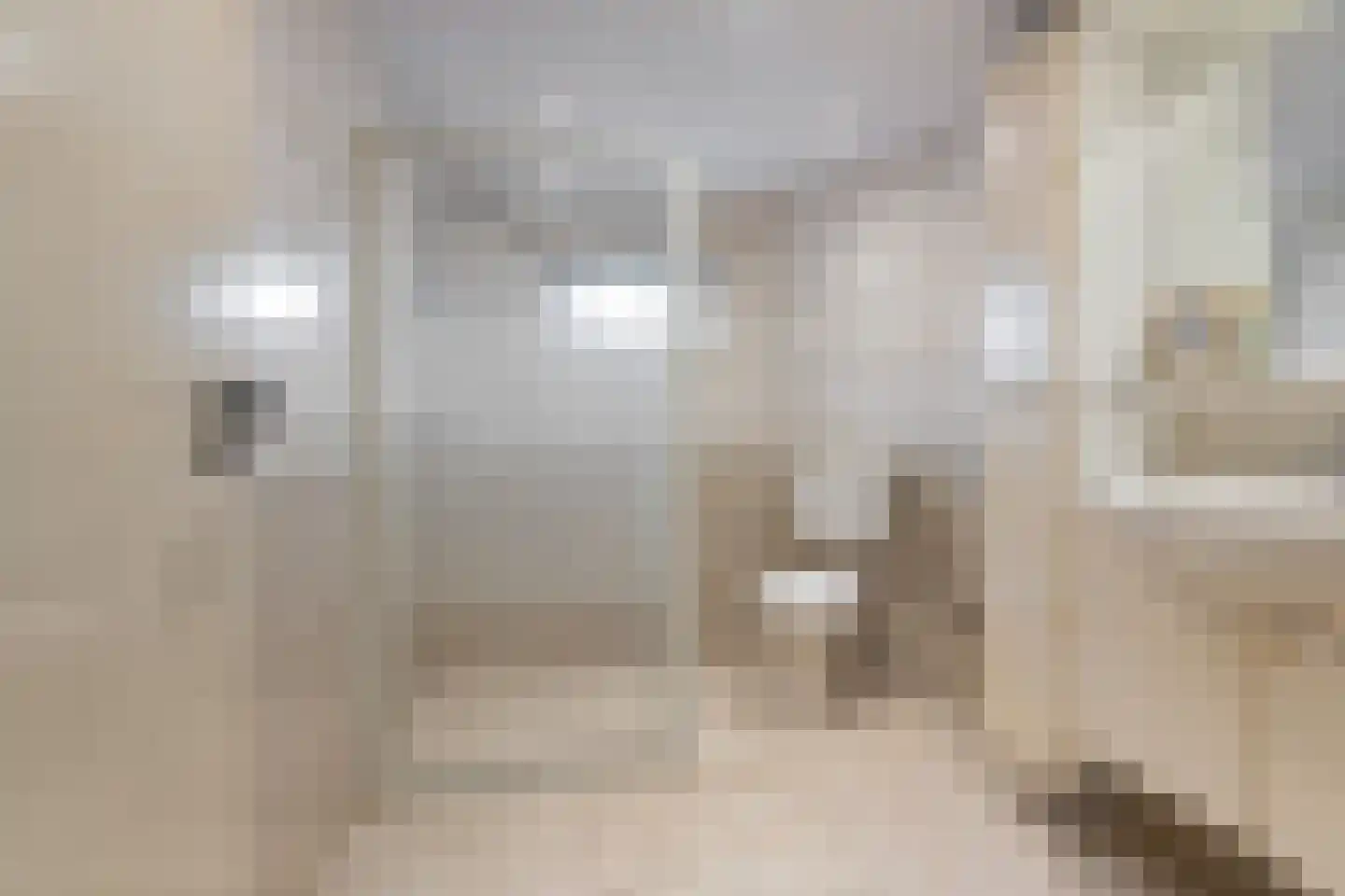 Lepelaarstraat 31 Velp thumbnail 20