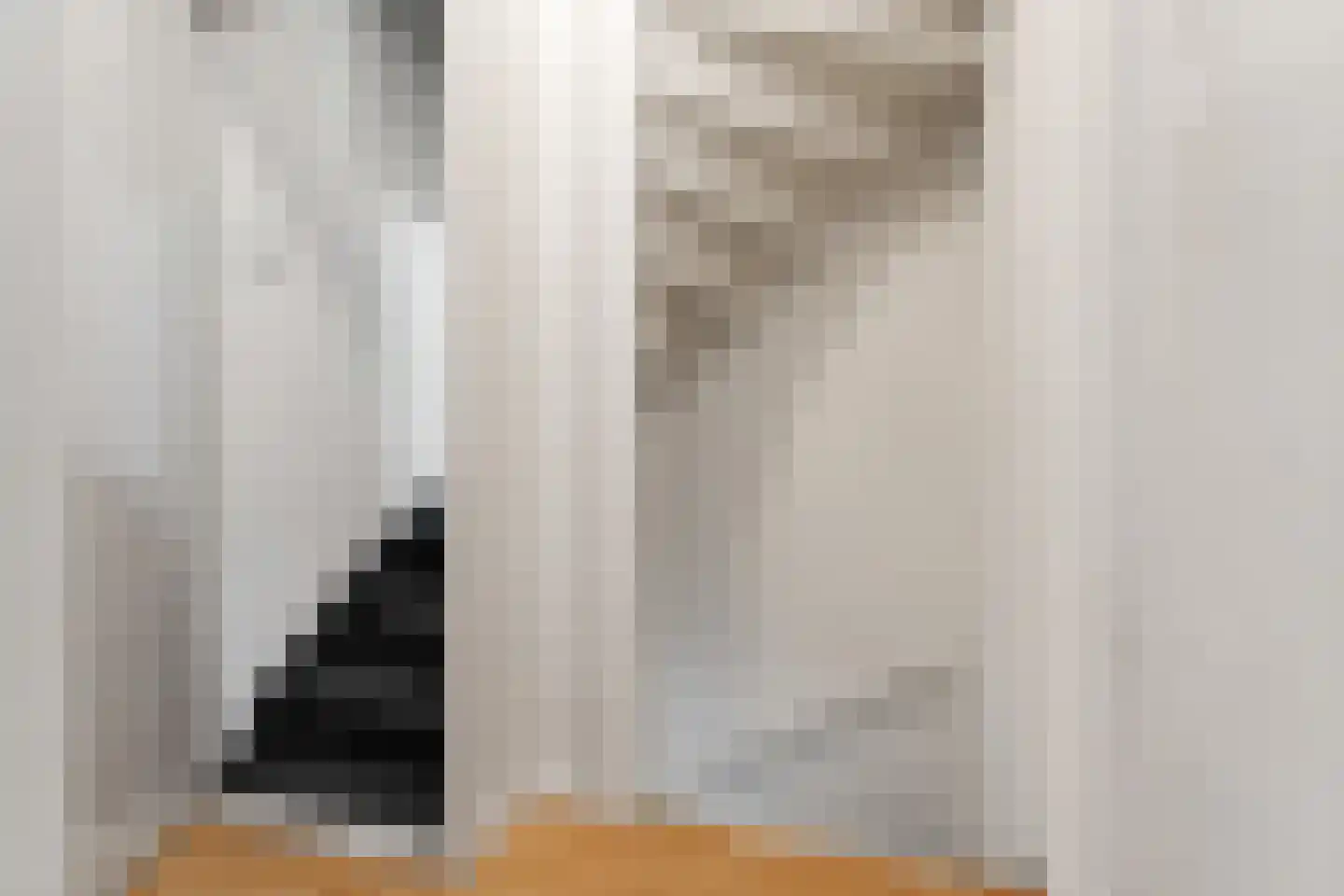 Lepelaarstraat 31 Velp thumbnail 23