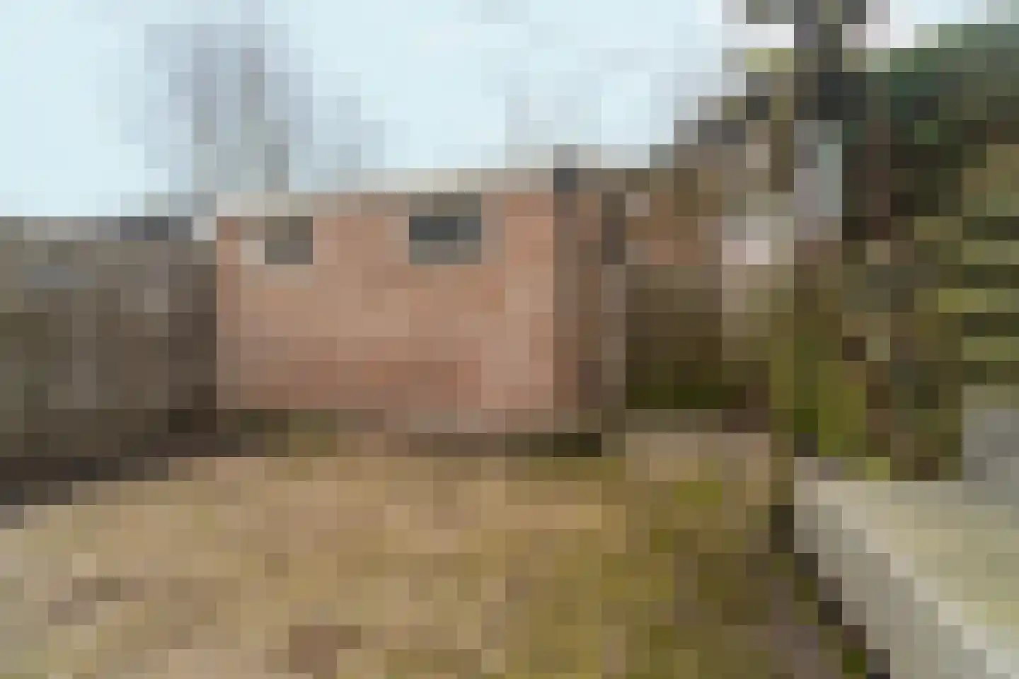 Lepelaarstraat 31 Velp thumbnail 28