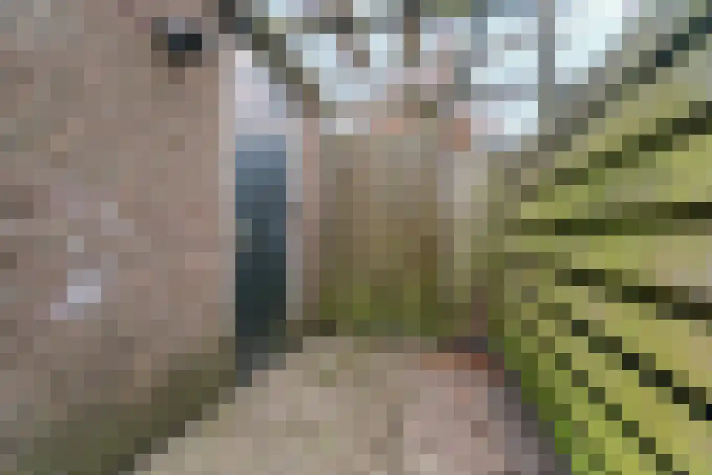 Lepelaarstraat 31 Velp thumbnail 29