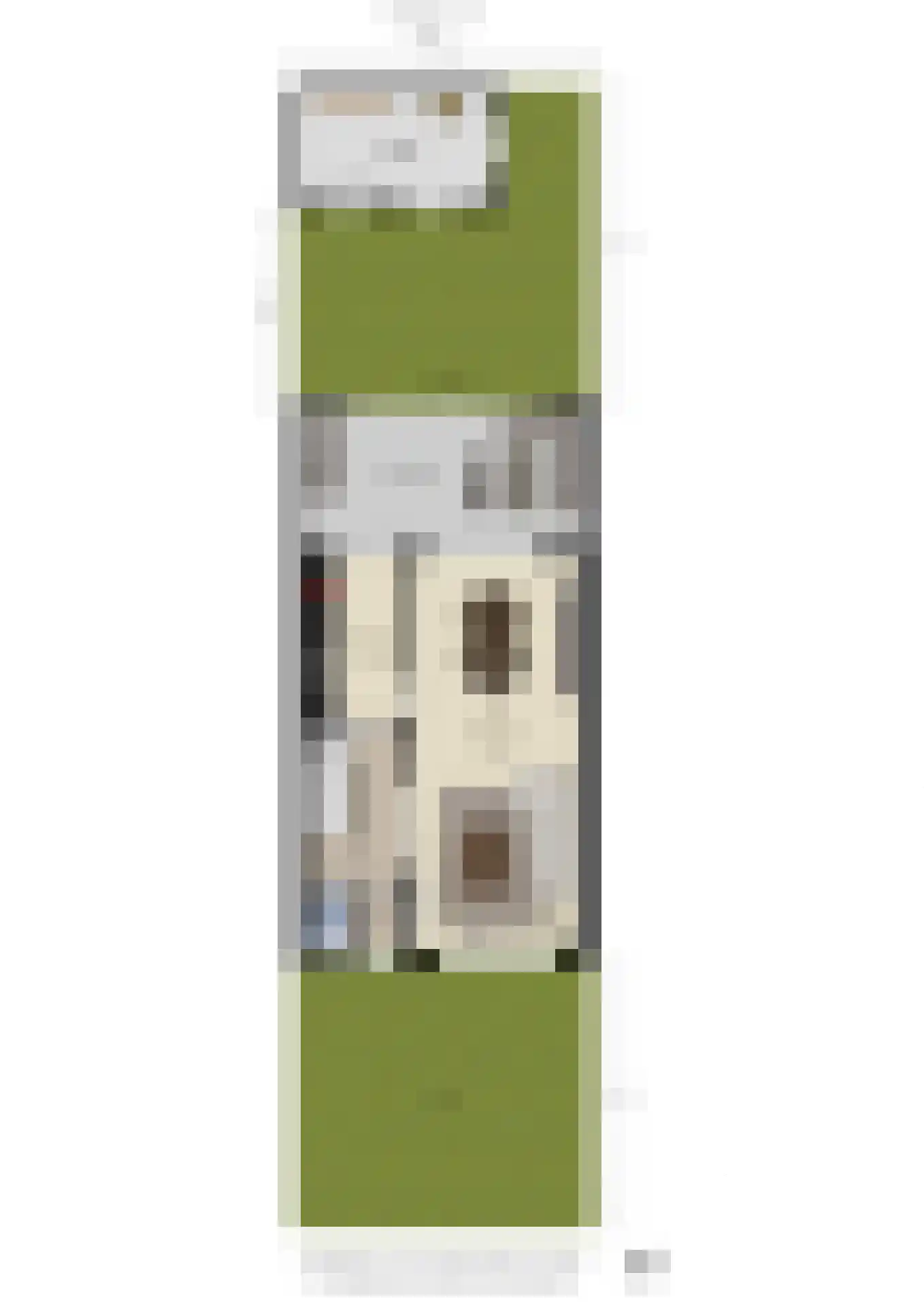 Lepelaarstraat 31 Velp thumbnail 35