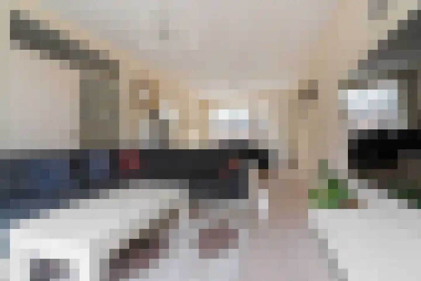 Lepelaarstraat 31 Velp thumbnail 5