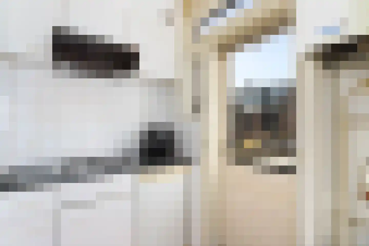 Lepelaarstraat 33 BS Utrecht thumbnail 6