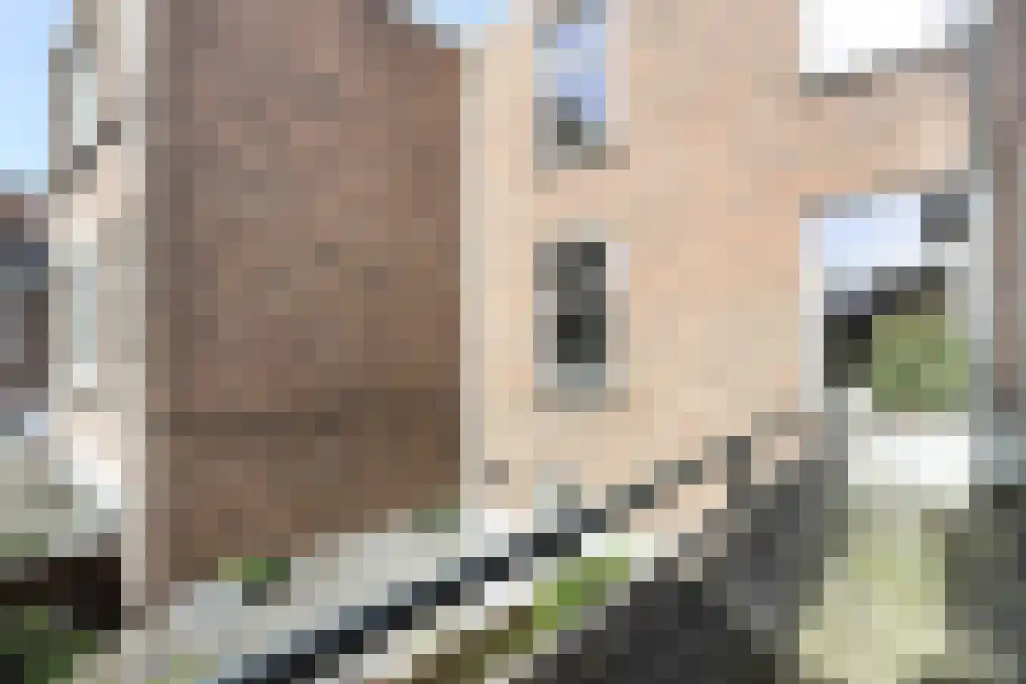 Lepelaarstraat 33 BS Utrecht thumbnail 8