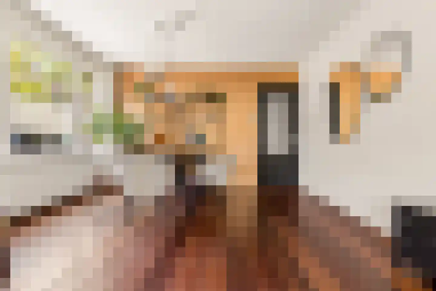 Lepelaarstraat 4 Utrecht thumbnail 16