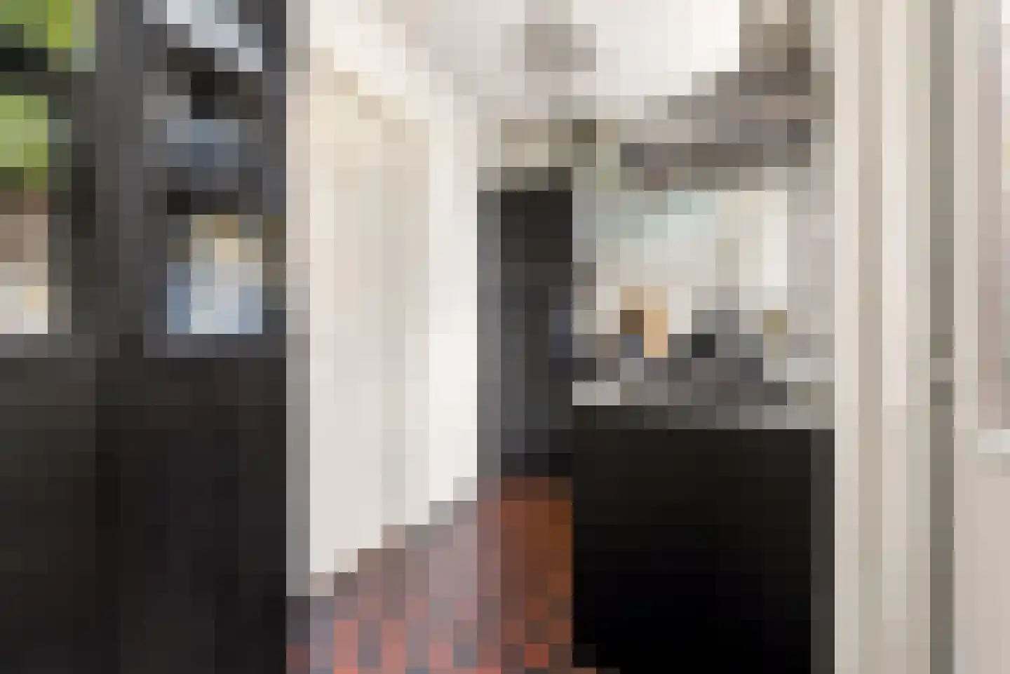 Lepelaarstraat 4 Utrecht thumbnail 23