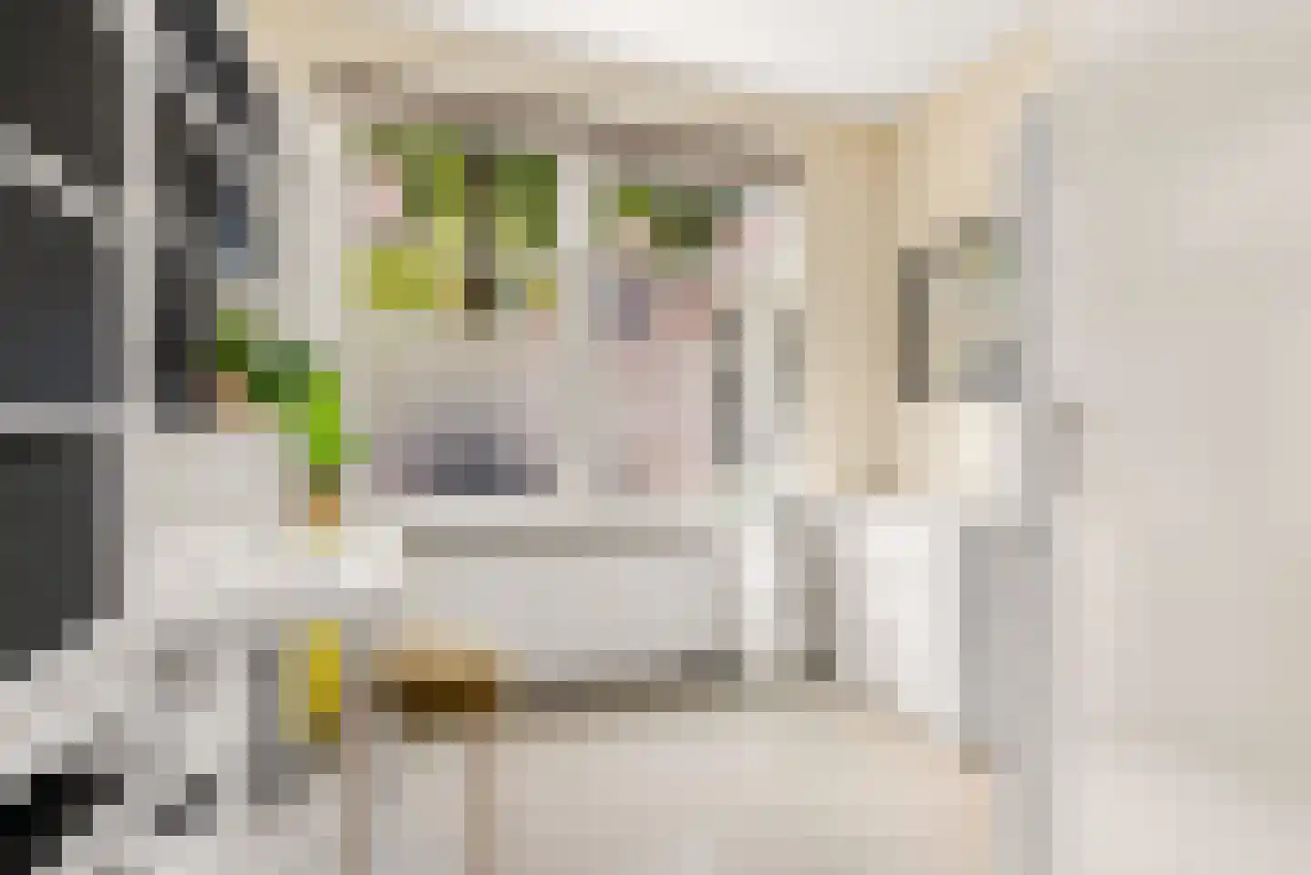 Lepelaarstraat 4 Utrecht thumbnail 32