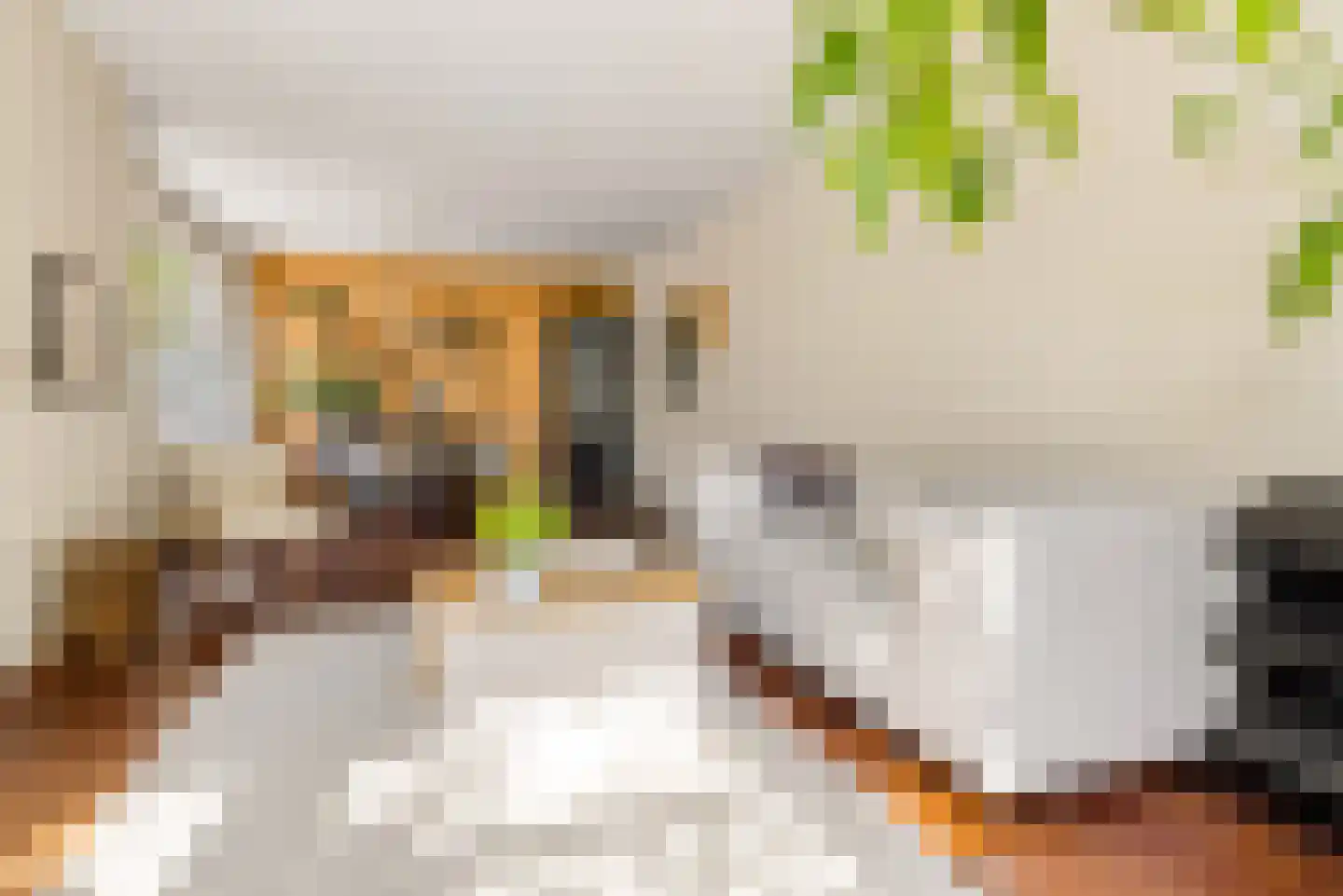 Lepelaarstraat 4 Utrecht thumbnail 8