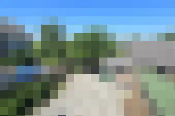 Lepelaarstraat 4 Westzaan thumbnail 17