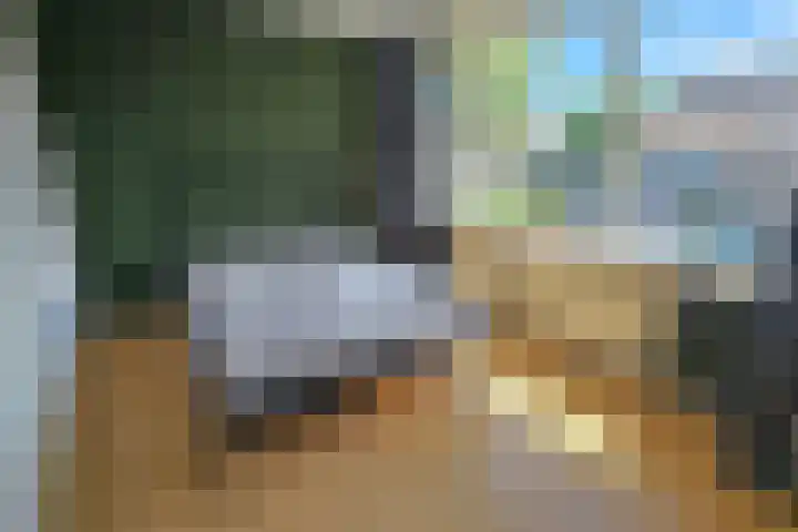 Lepelaarstraat 4 Westzaan thumbnail 18