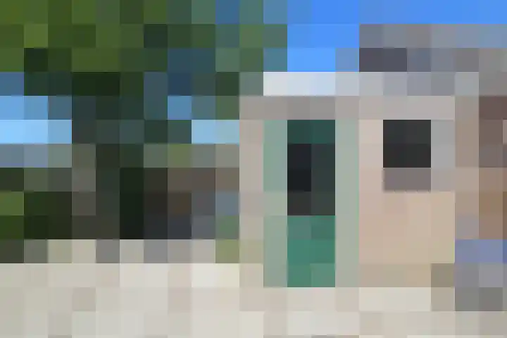 Lepelaarstraat 4 Westzaan thumbnail 30