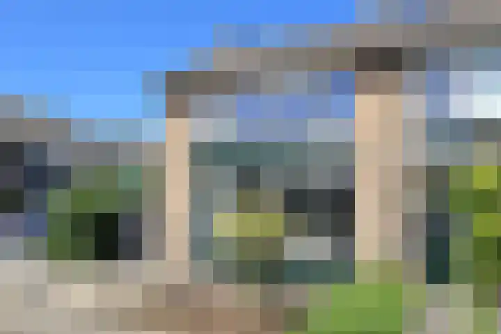 Lepelaarstraat 4 Westzaan thumbnail 34