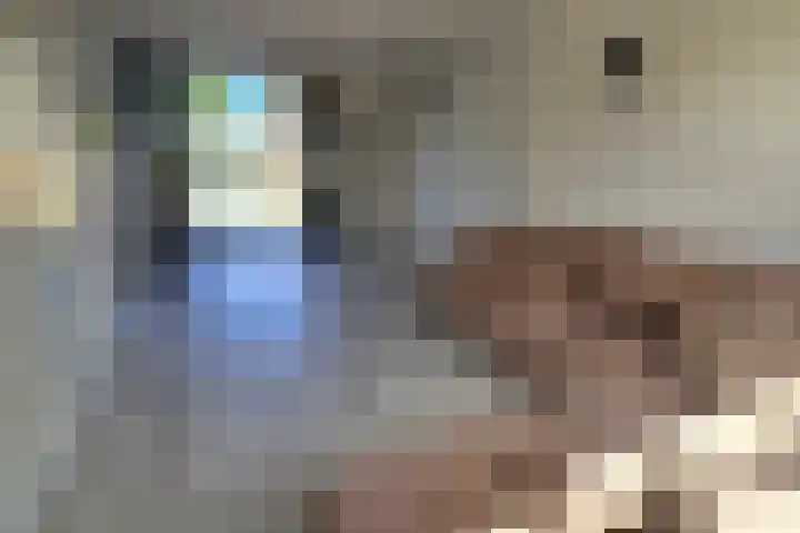 Lepelaarstraat 4 Westzaan thumbnail 7