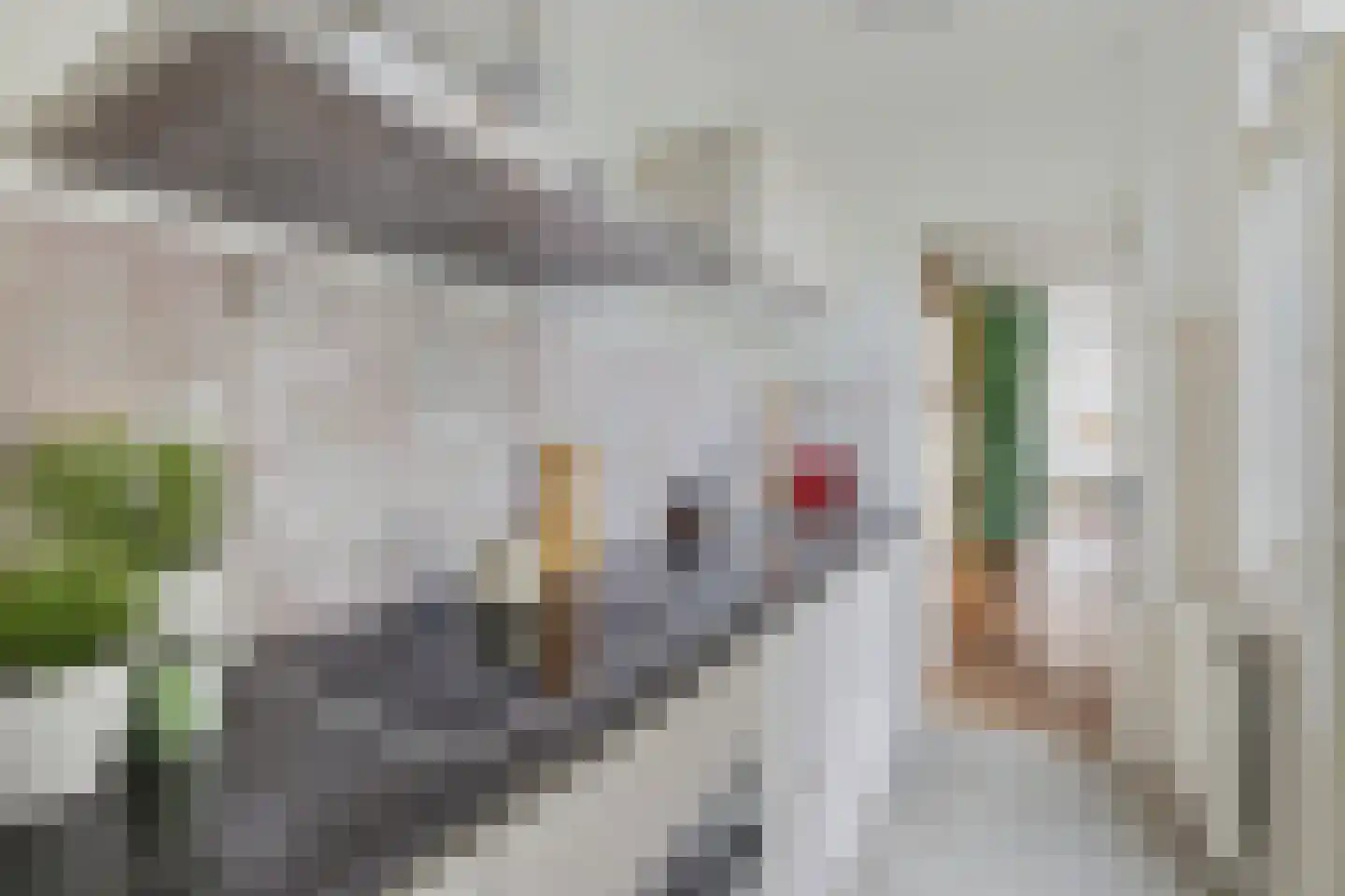 Lepelaarstraat 45 Utrecht thumbnail 16