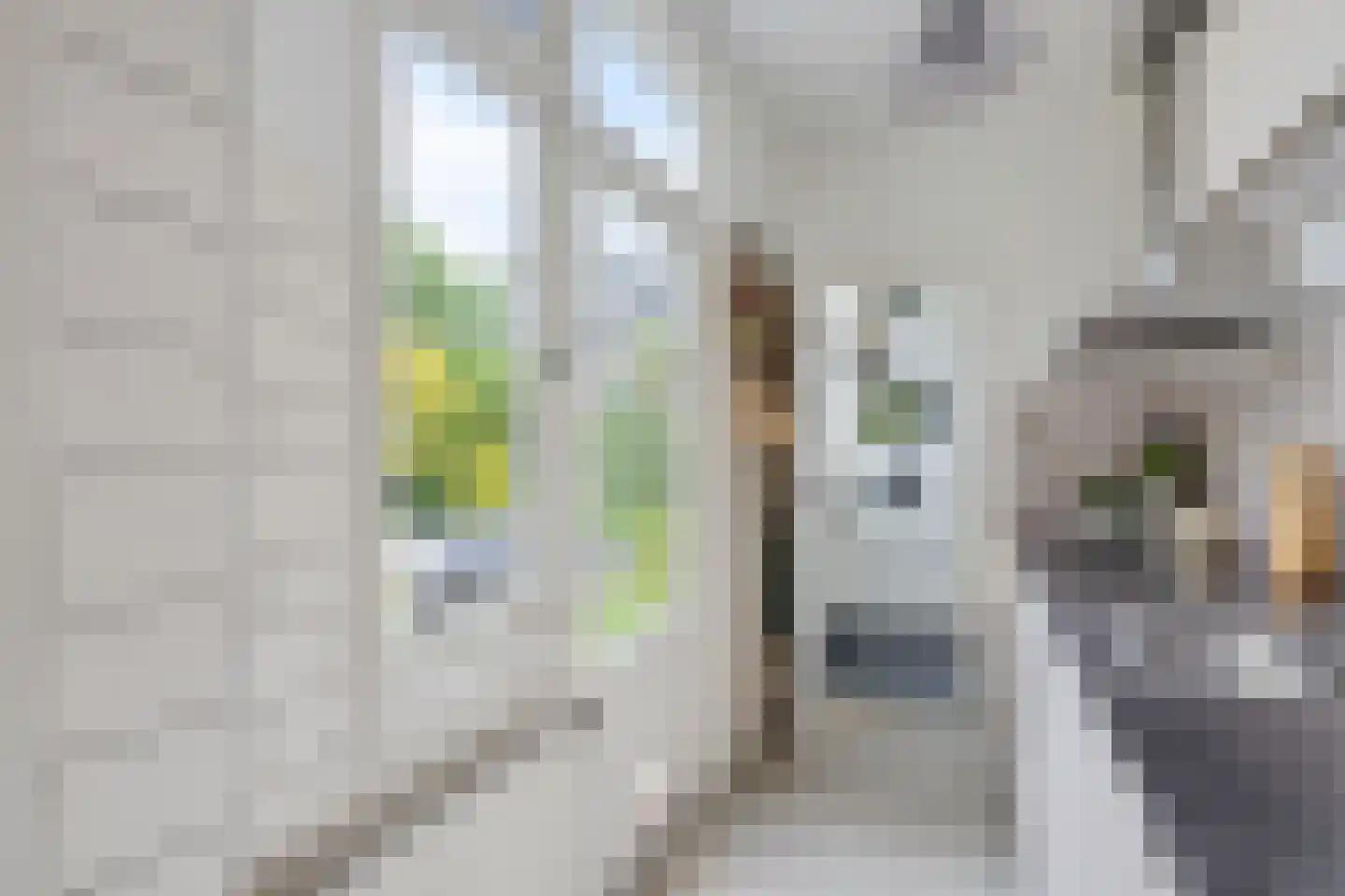 Lepelaarstraat 45 Utrecht thumbnail 17