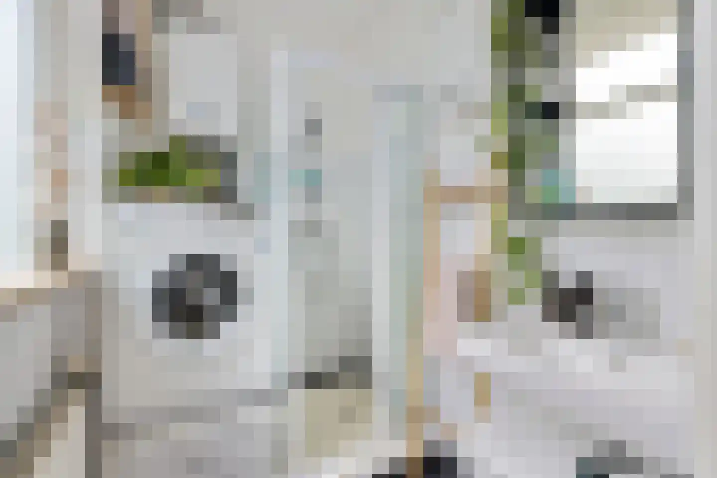 Lepelaarstraat 45 Utrecht thumbnail 18