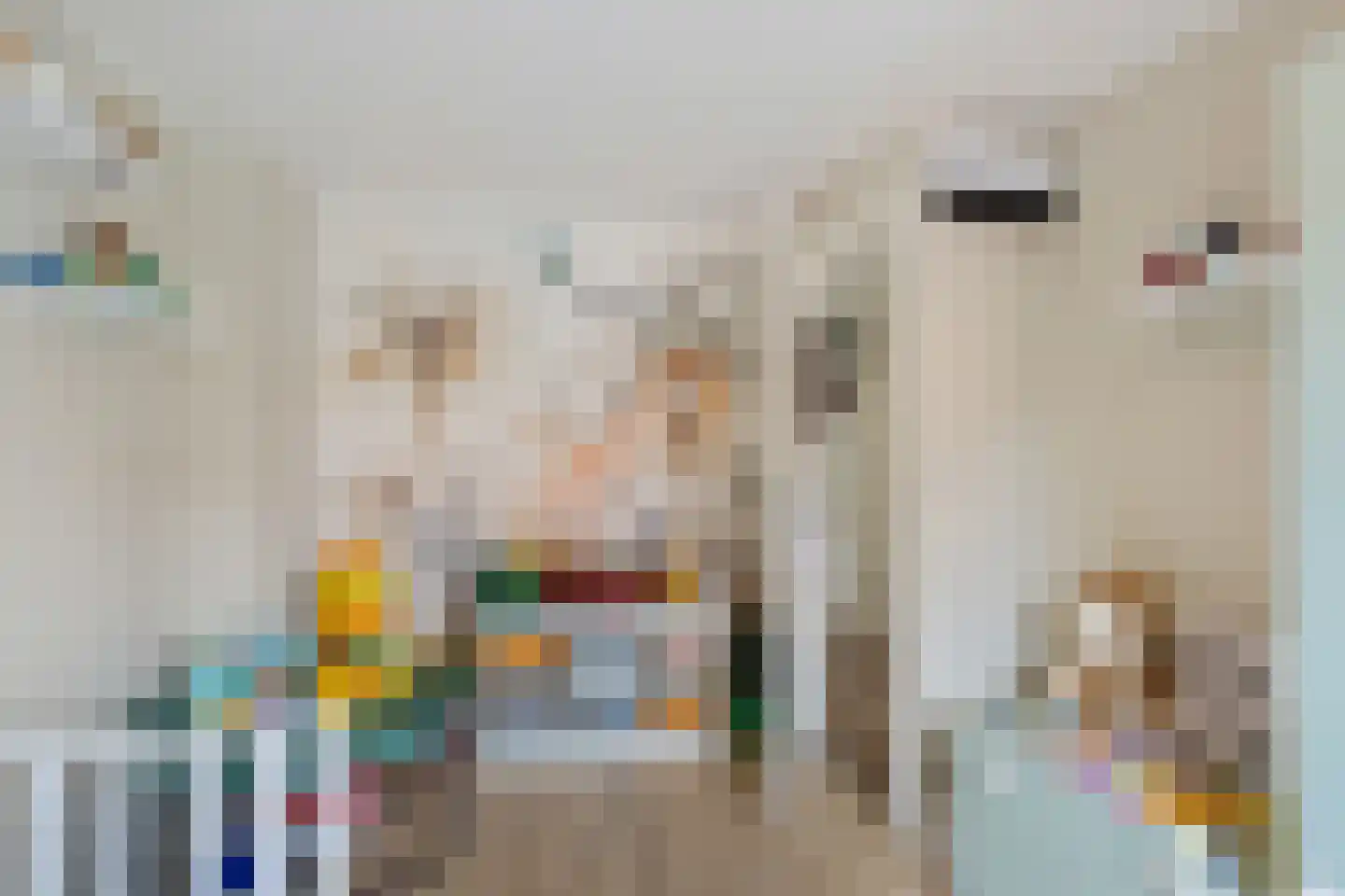 Lepelaarstraat 5 Hengelo thumbnail 20