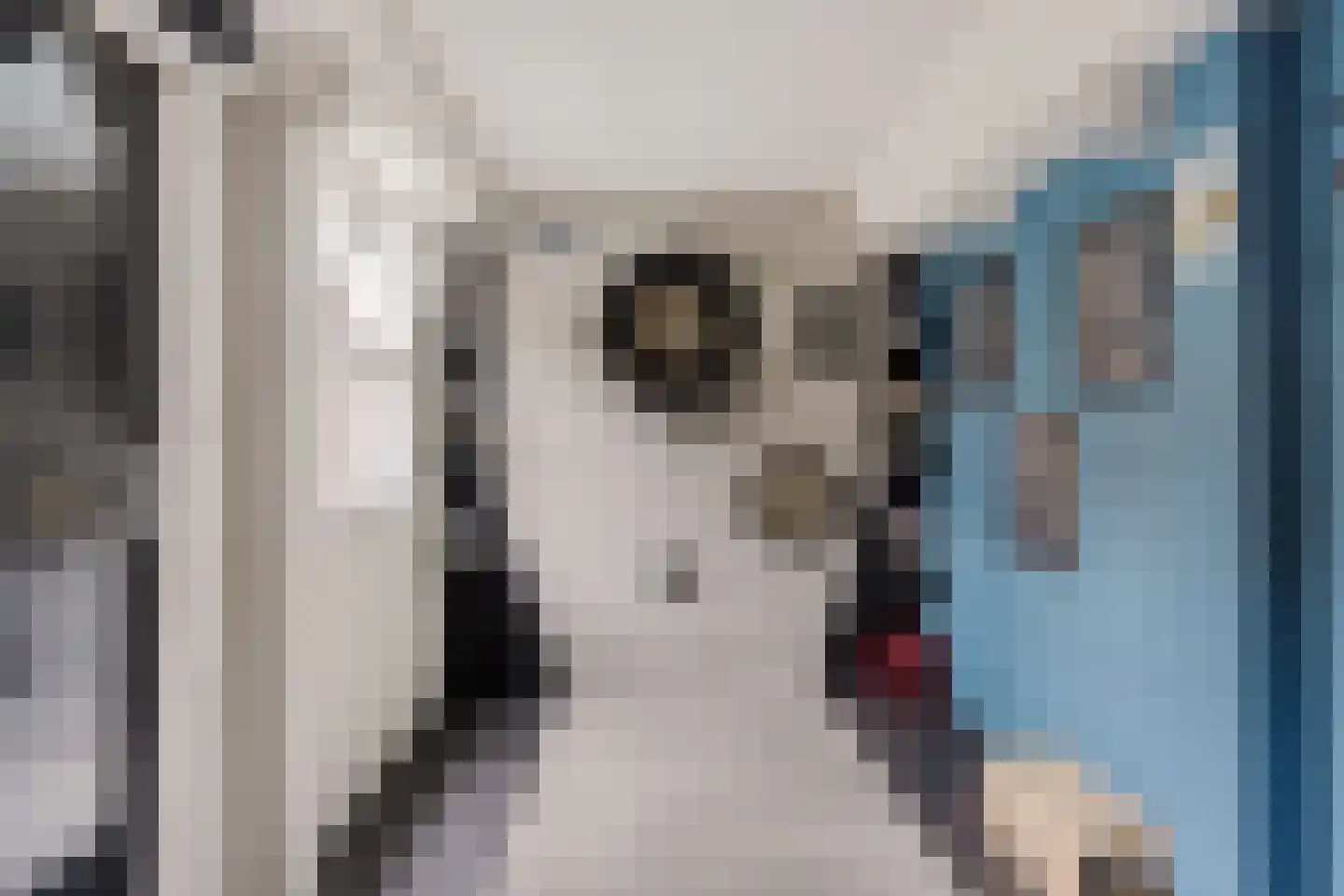 Lepelaarstraat 5 Hengelo thumbnail 23
