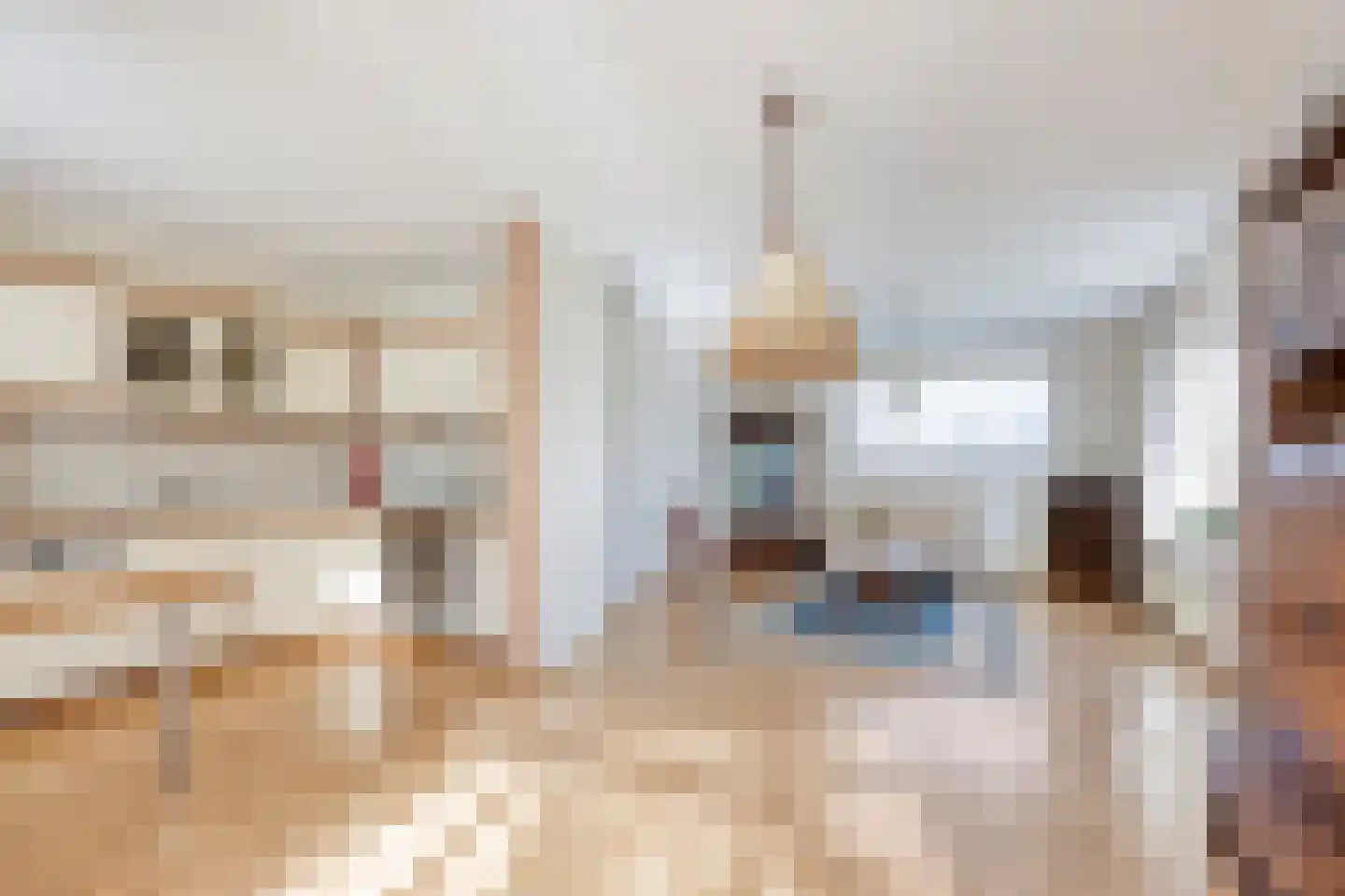 Lepelaarstraat 5 't Zand thumbnail 20