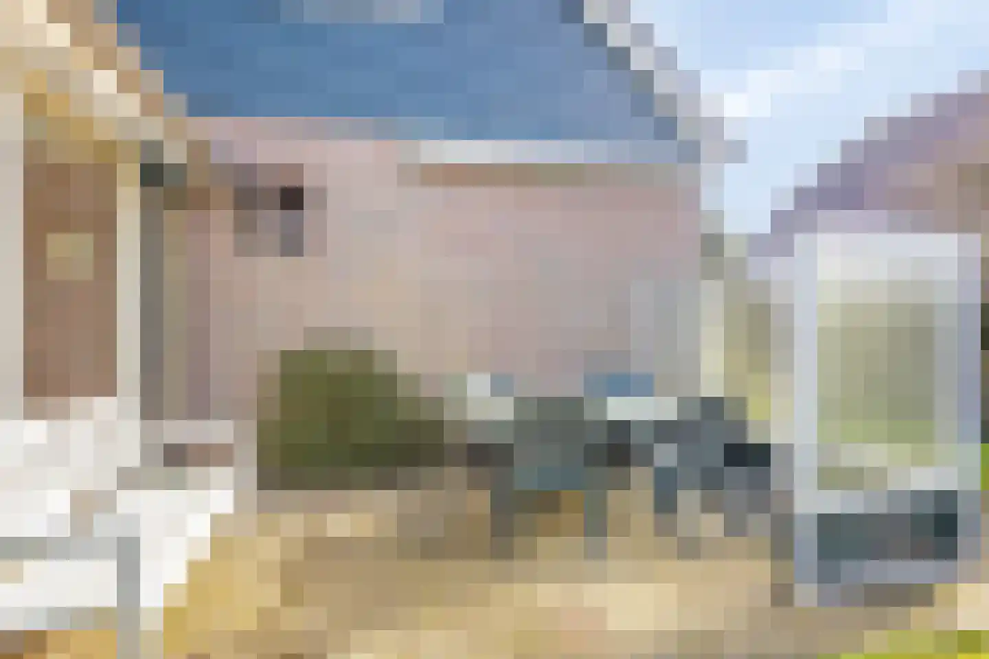 Lepelaarstraat 5 't Zand thumbnail 47