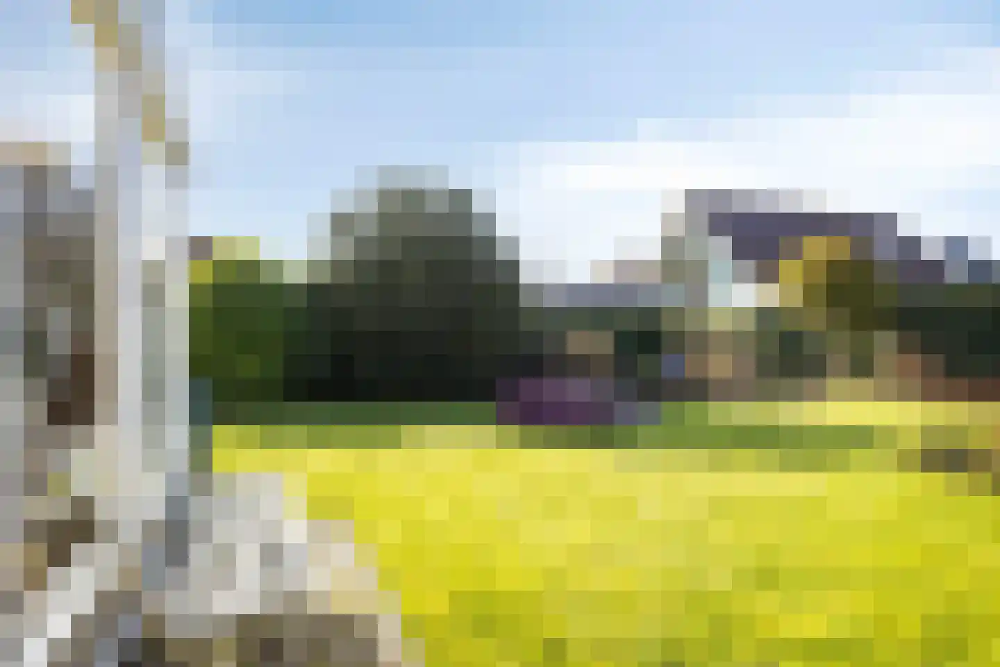 Lepelaarstraat 5 't Zand thumbnail 49