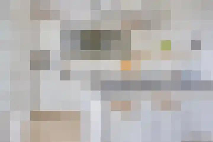 Lepelaarstraat 59 Heerenveen thumbnail 13