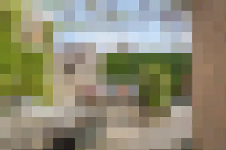 Lepelaarstraat 59 Heerenveen thumbnail 38